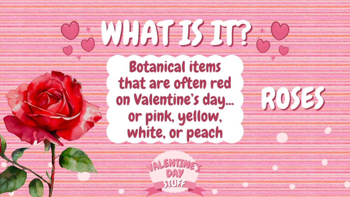 Valentine's Day Stuff! image number null